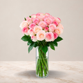 Blush Pink Vase