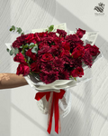 Red Elegance