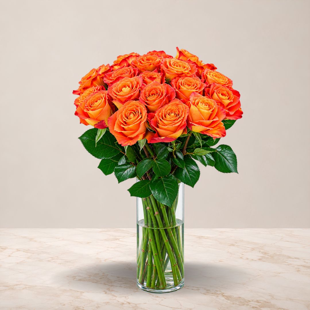 Orange Roses Vase