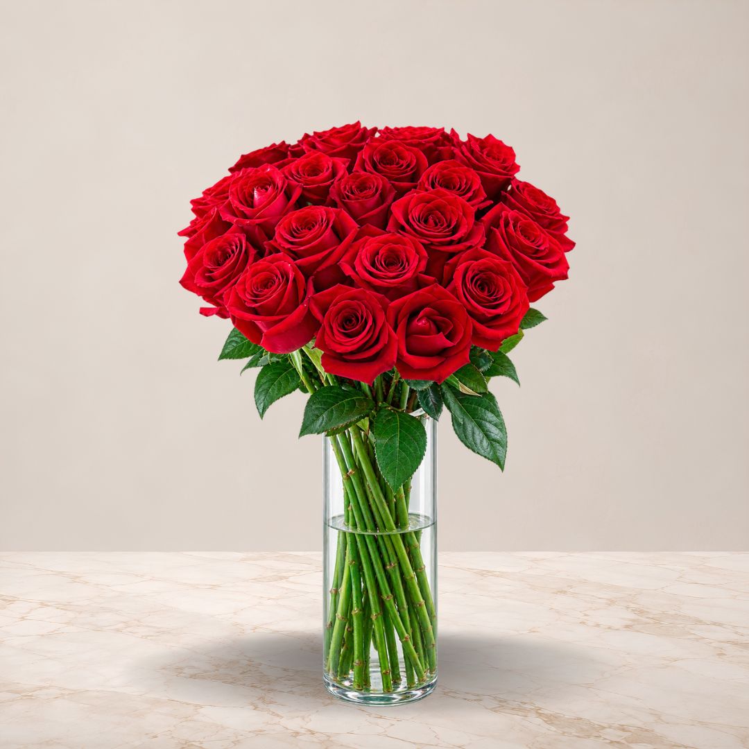 Red Rose Vase