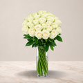White Rose Vase
